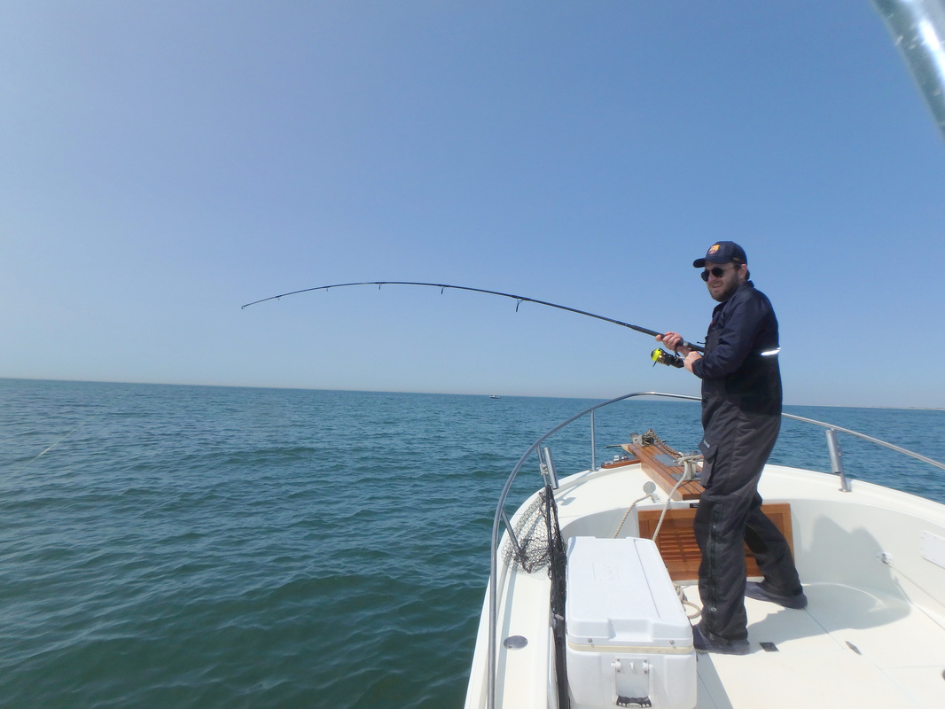 Skimmeroutdoors Fire Island Fishing, Hunting and diving reports