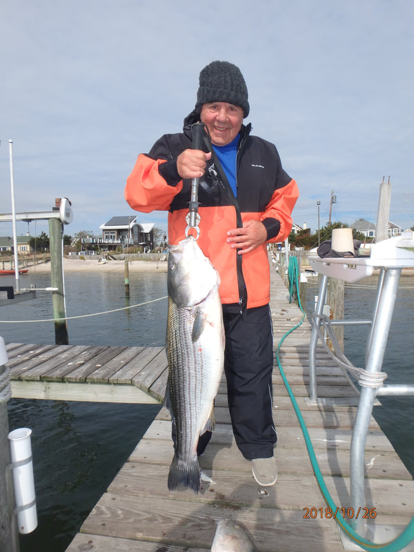 Skimmeroutdoors Fire Island Fishing, Hunting and diving reports 